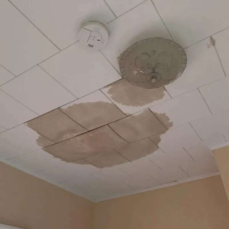 Ceiling Water Damage Repair in Woodstock, NY
