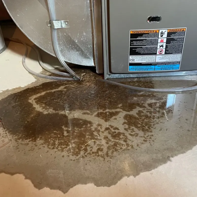 Pipe Burst and Leak Restoration in Woodstock, NY